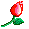 flowers-154
