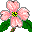 flowers-308