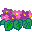 flowers-453