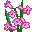 flowers-478