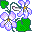 flowers-559
