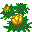 flowers-566