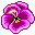 flowers-83