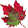 osenq1leaf